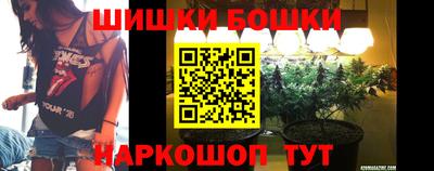 индика Апшеронск