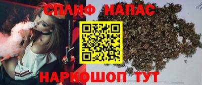 индика Апшеронск