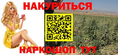 индика Апшеронск