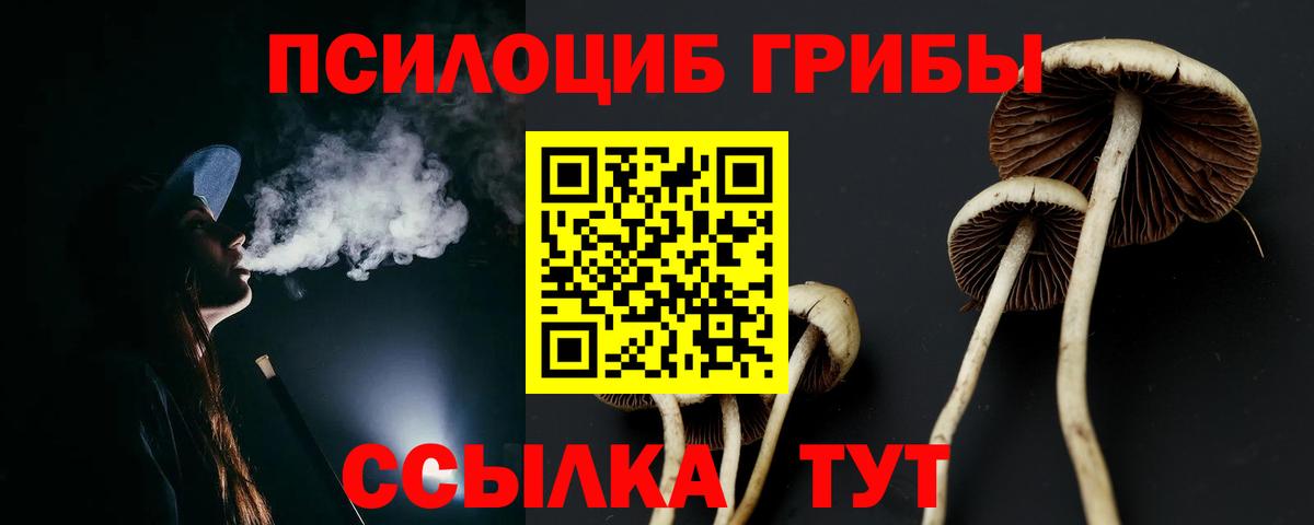 Балашиха  Галлюциногенные грибы мухоморы  купить наркоту  Вход с VPN 